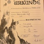 Bauprüfung bestanden