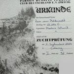 1.Preis und als Suchsieger bestanden